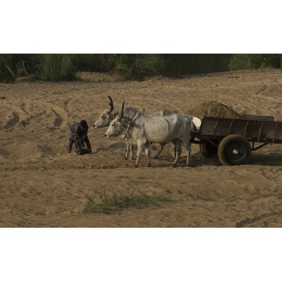 riviere-tanj-23